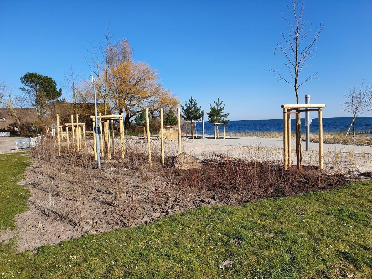 Sanddorn Haus Sanddorn - Whg 13 Großenbrode Eksteriør billede